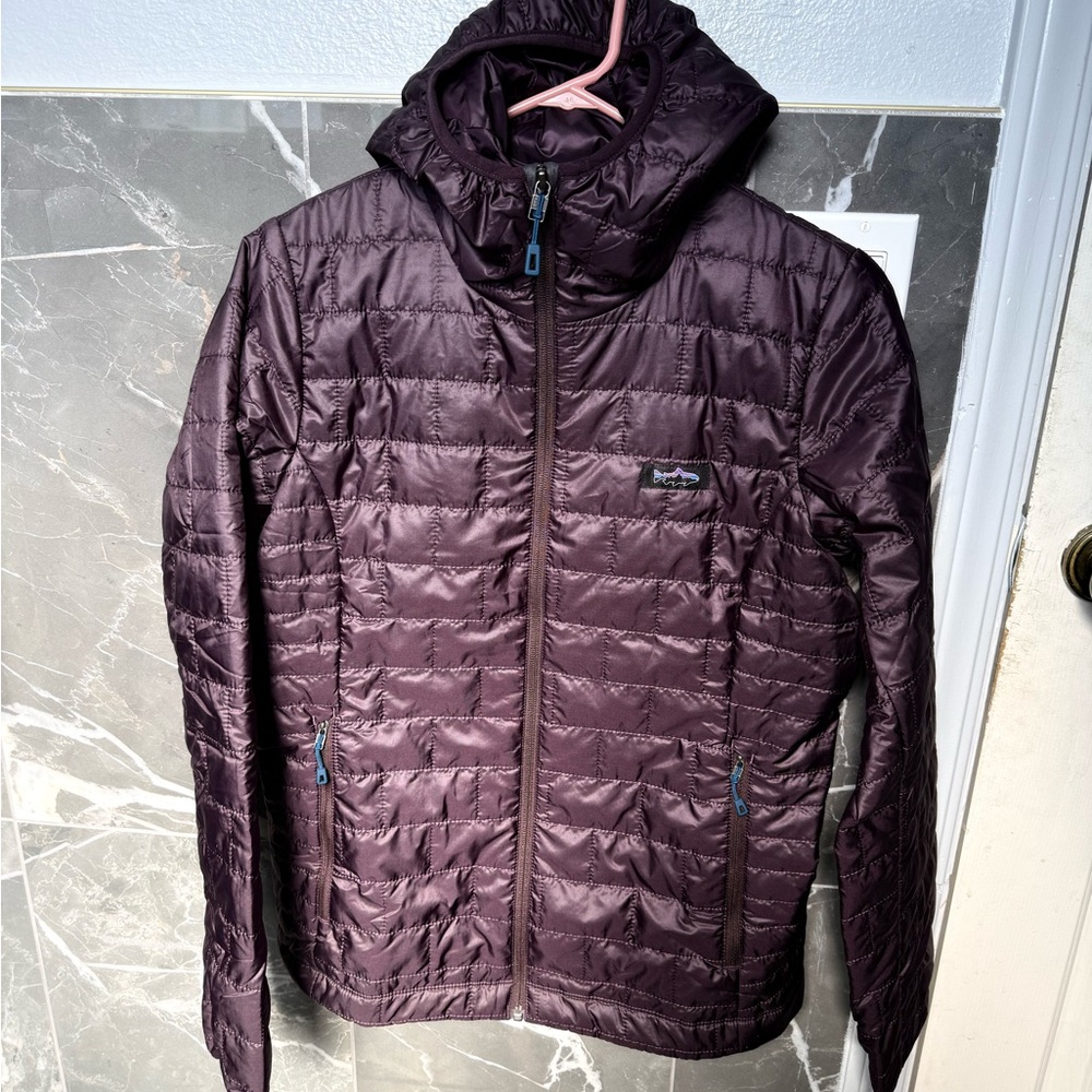 Patagonia nano puff fitz Roy trout hoody